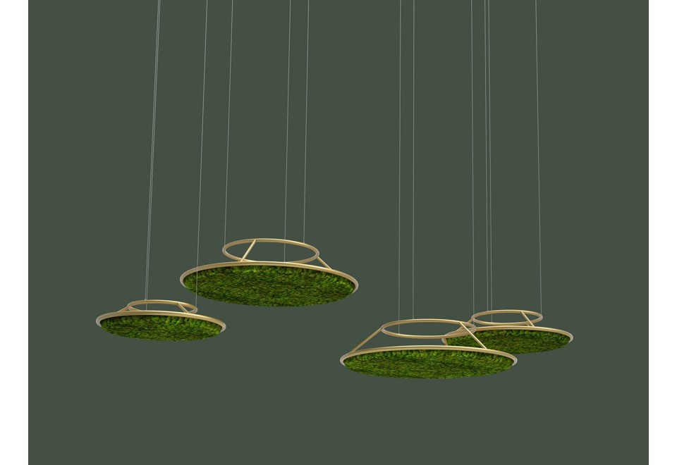 prima foto G CIRCLES Pannello acustico a sospensione in piante stabilizzate