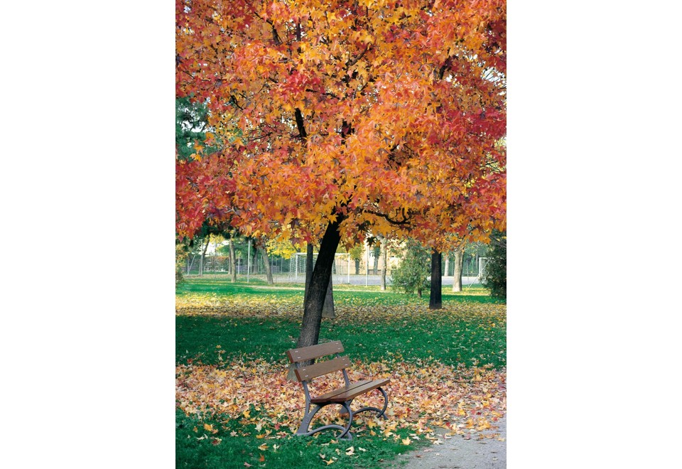 seconda foto SALIX Panchina in legno con schienale