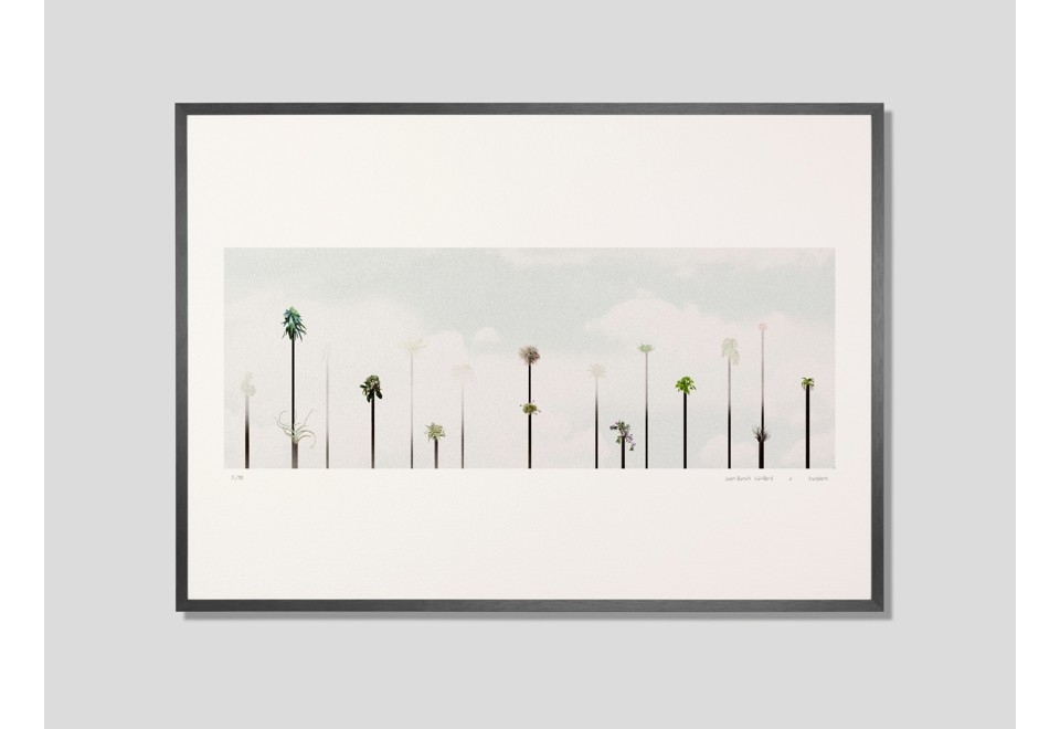 prima foto ÉPIPHYTES PANOPTIQUES Stampa su carta in carta Hahnemühle