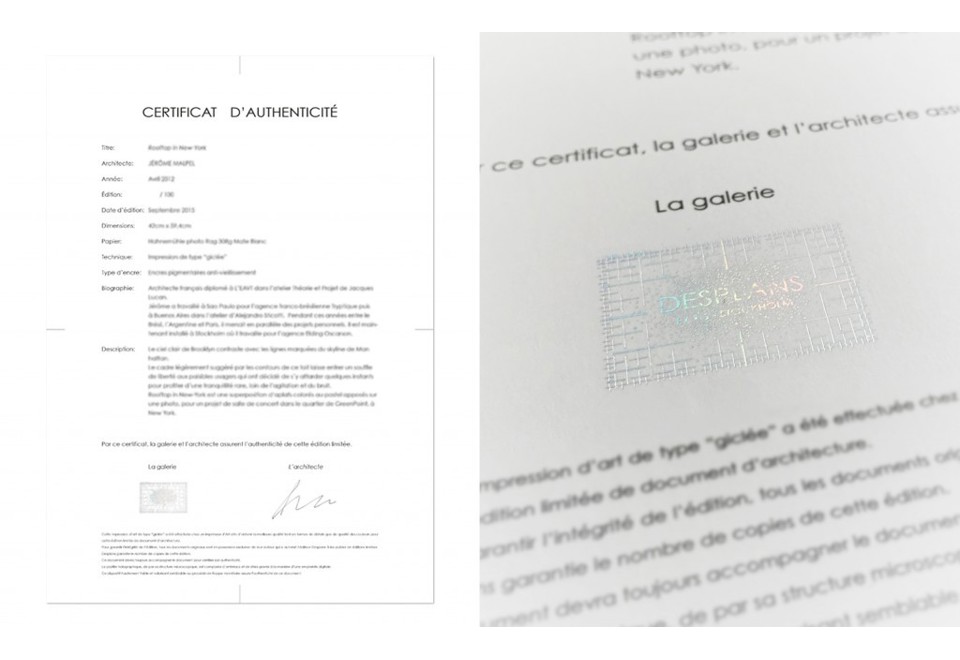 seconda foto ÉPIPHYTES PANOPTIQUES Stampa su carta in carta Hahnemühle