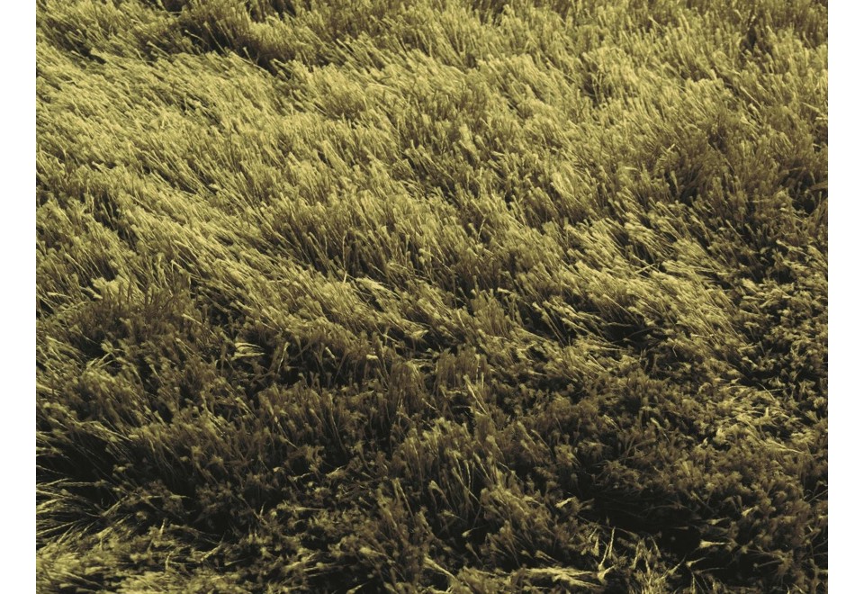 terza foto GALAXY Tappeto a pelo lungo