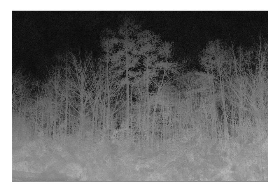 prima foto BLAIRWITCH Tappeto rettangolare in cotone