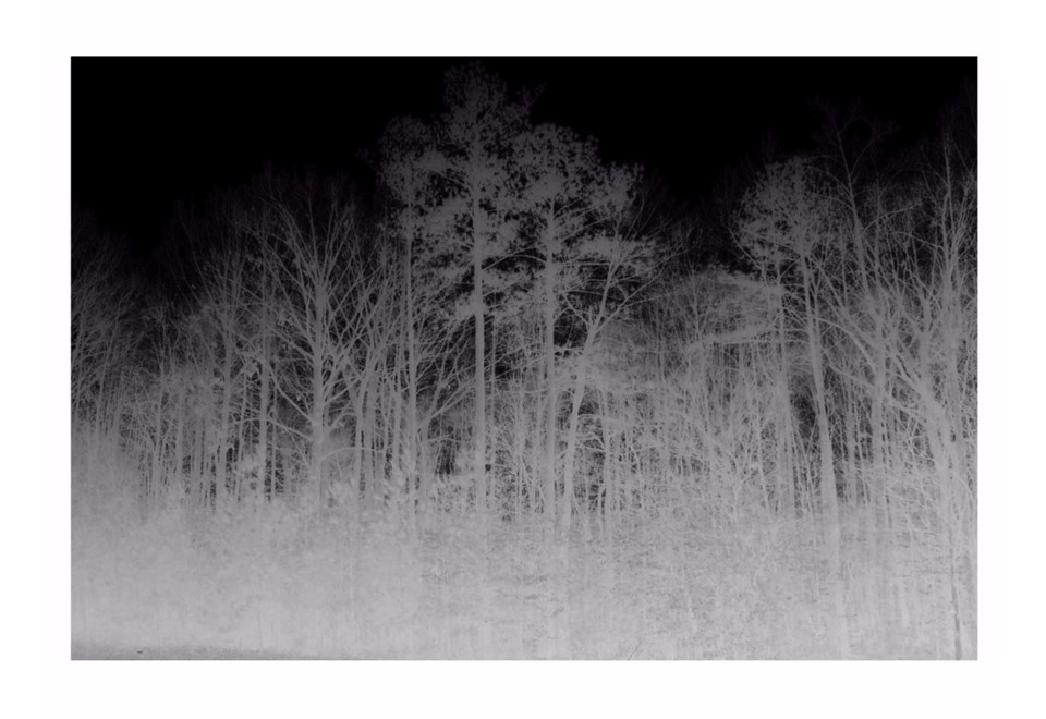 seconda foto BLAIRWITCH Tappeto rettangolare in cotone