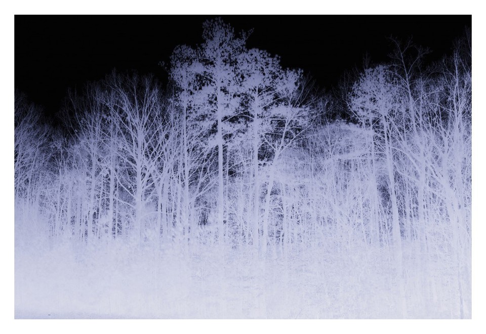 terza foto BLAIRWITCH Tappeto rettangolare in cotone