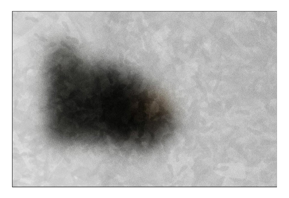 prima foto BLUR 30 Tappeto rettangolare in cotone